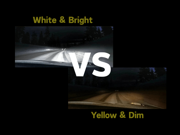 2PCS H8 H9 H11 LED Headlight Bulbs 6500K White | 3200LM High/Low Beam Globes – AUXITO - Office Catch