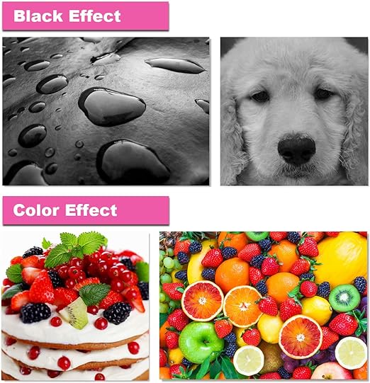 2 Pack Black inkcartridge for HP 65 XL Remanufactured Ink Cartridges Replacement for HP 65XL 65 XL for DeskJet 2622 2624 2652 2655 3720 3722 3752 3755 3758 HP Envy 5055 5052 5058 AMP 100 120 125 Printer - Office Catch