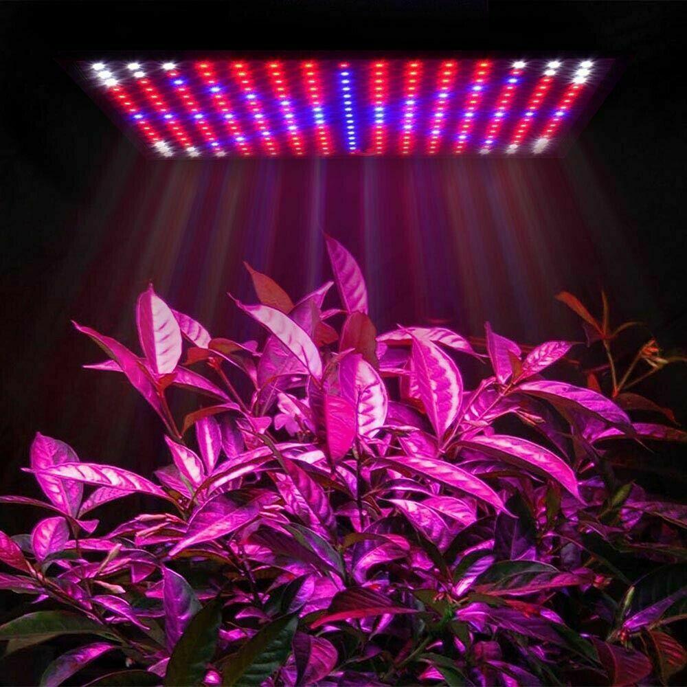 225 LED Grow Light 2000W Hydroponic Kit For Plants Flowers Vegetables Indoors - Office Catch