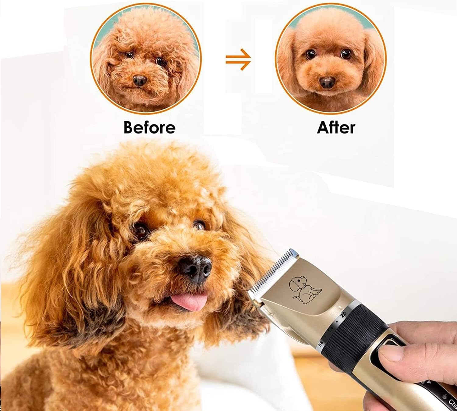 Cat Dog Pet Clippers Hair Electric Clipper Grooming Trimmer Shaver Cordless Set - Office Catch