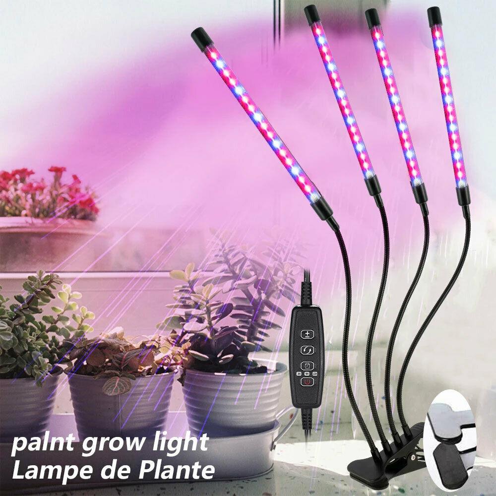 Four Head LED Plant Grow Light Indoor Lamp For Fruit Veg Flowers - Office Catch