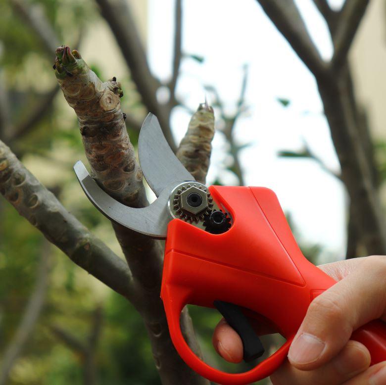Wireless Electric Pruning Shears Li-ion Secateur Garden Branch Cutter Tools(with 2 Battery) - Office Catch