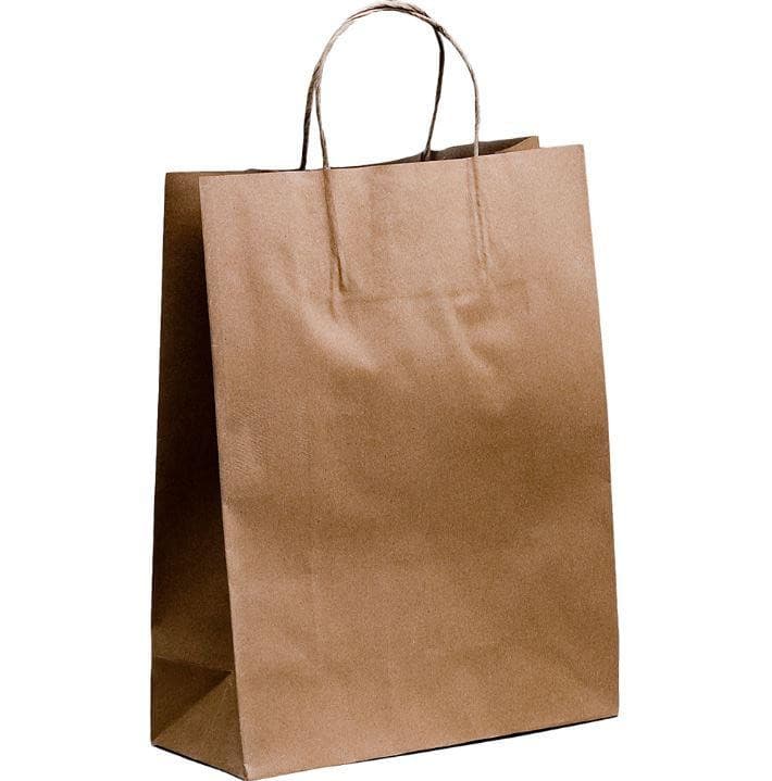 100x Kraft Paper Bags Gift Carry Craft Brown Bag with Handles | 19x25x8cm Size - Office Catch