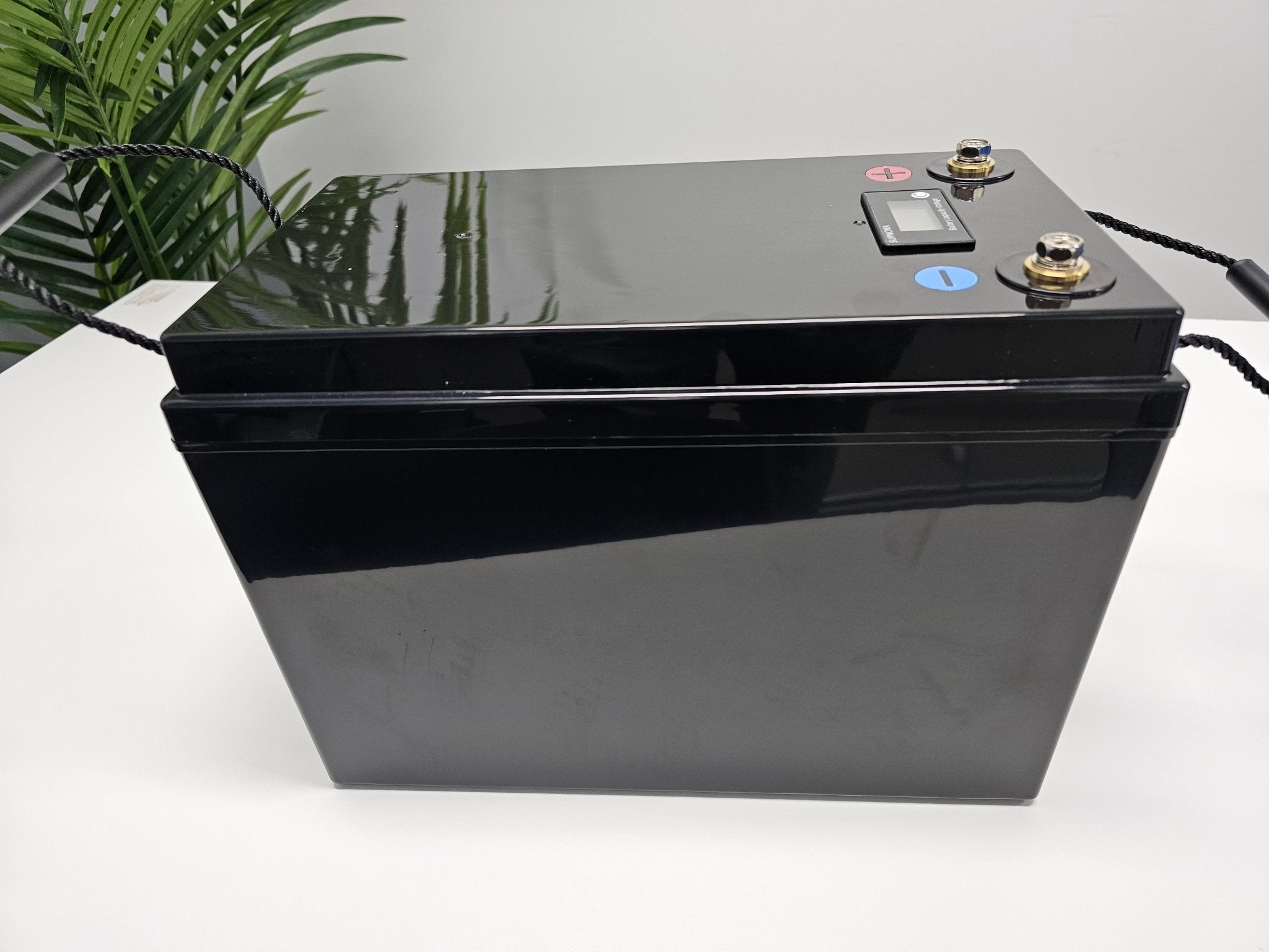 200Ah Lithium Ion Battery 12V LiFePO4 Rechargeable Deep Cycle Power - Office Catch