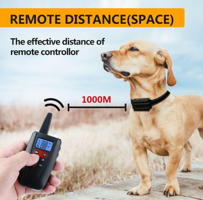 Anti-Bark Electric Shock Pet Dog Training E-Collar Obedience Remote Control AU - Office Catch